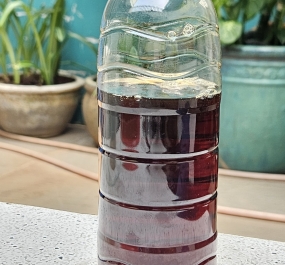 DẦU NHÂN HẠT ĐIỀU 2
