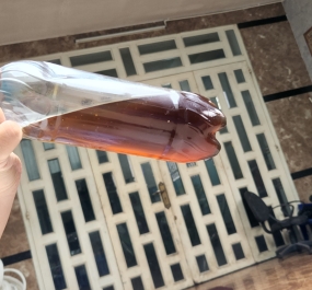Dầu phế vàng (lỡ)