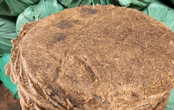 CUNG CẤP SỈ BÁNH DẦU NHÂN ĐIỀU