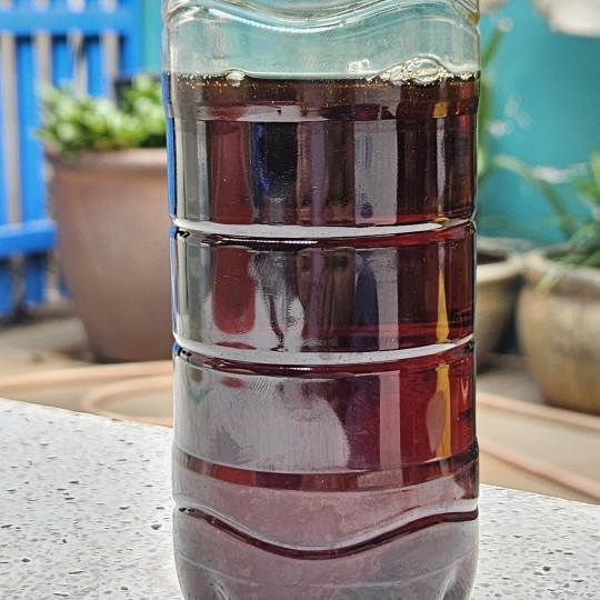 DẦU NHÂN HẠT ĐIỀU 1
