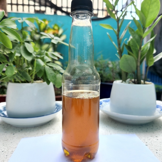 Dầu phế vàng